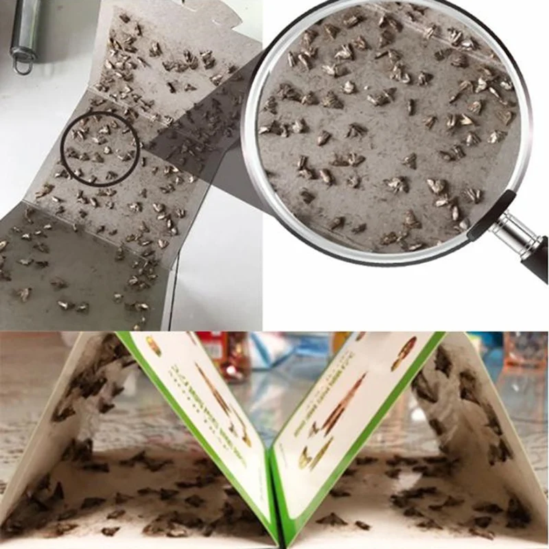 5pcs/bag Insecticide household cleaning green moth trap insecticidal trap sticker Moth trap