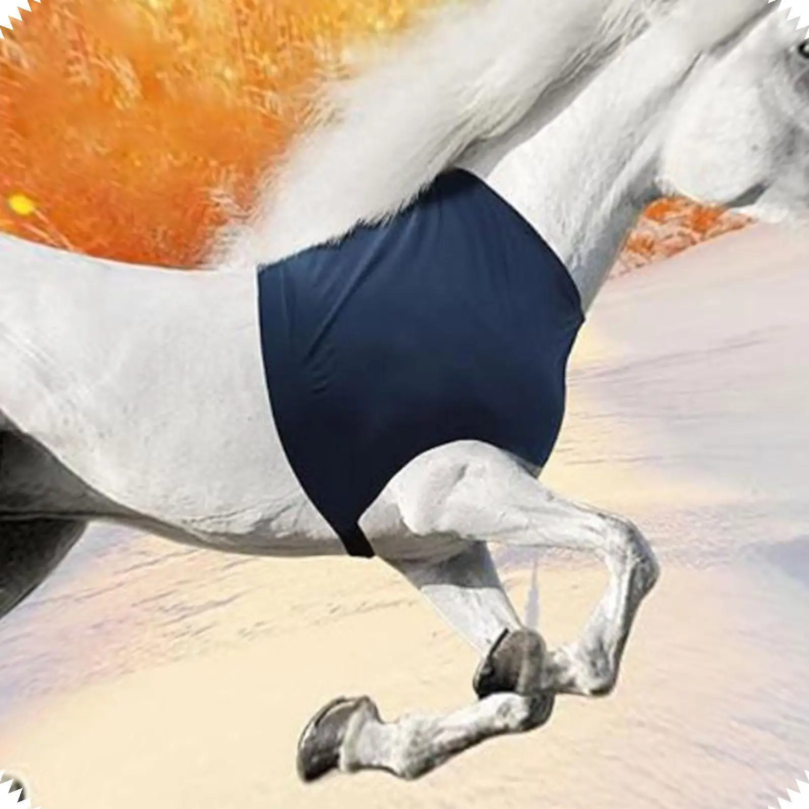 

Horse Shoulder Guard Practical Fitting Easy to Install Reusable Anti Rub Bib