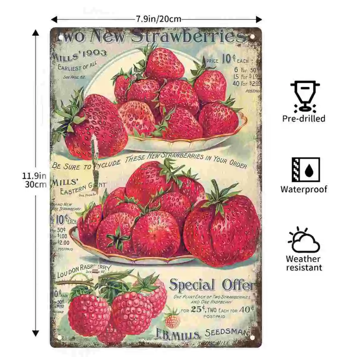 2D FLAT 1pc Vintage Strawberries and Raspberries Seed Advertisement Metal Wall Sign Decoration for Home Cafe Garage Bedroom