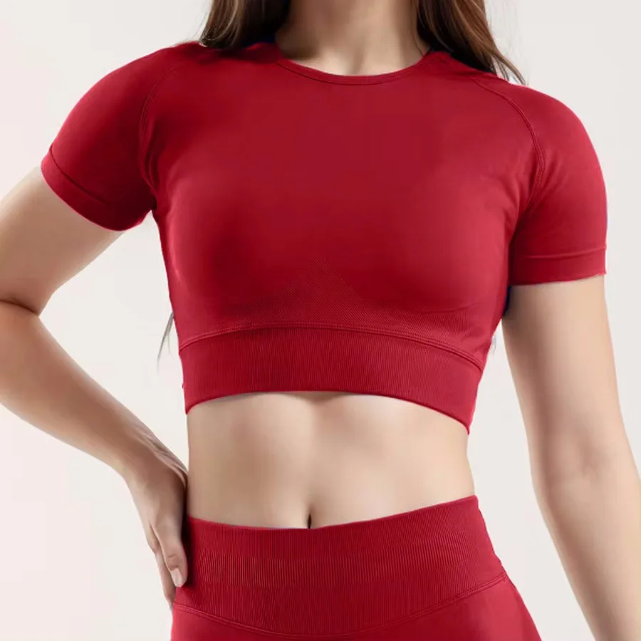 2 DFPO Yoga Top Seamless Sport T Shirts Fitness Clothes Short Sleeve Yoga Shirt Gym Top Running Active Wear Sport Top