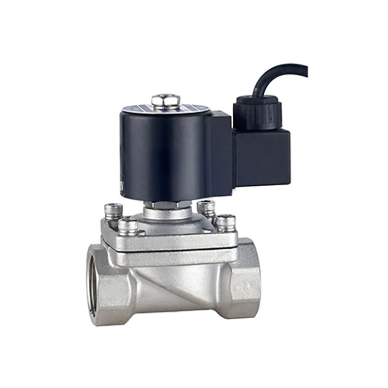 220v/24v 2way Stainless steelElectric gas valve