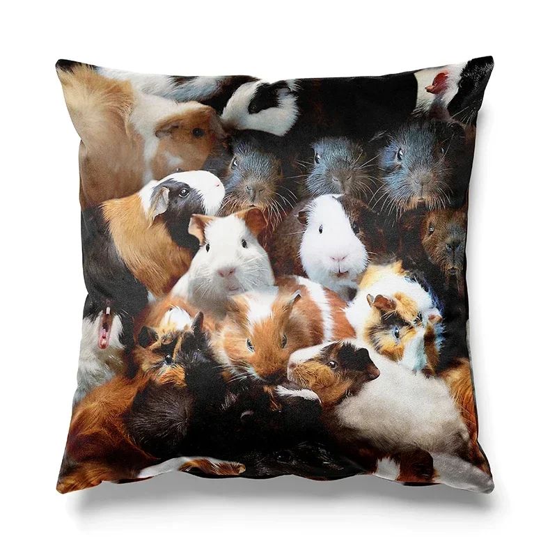 

Aertemisi 18'' x 18'' Guinea Pigs Square Throw Pillow Cushion Covers Cases Pillowcases 45cm x 45cm
