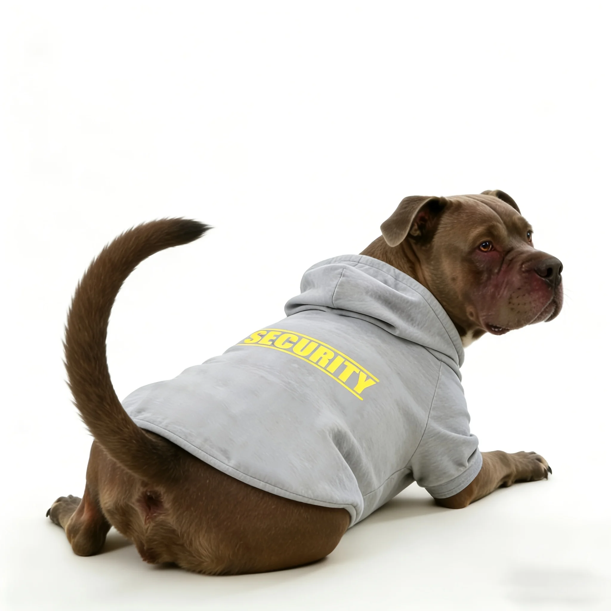 Sicherheits-Hundehoodie mit Aufdruck, warme Sportbekleidung für mittelgroße und große Hunde, Outdoor-Sicherheitskleidung für Haustiere, Hundebekleidung – Detail 10