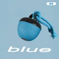 Pet Toy Ball  Blue