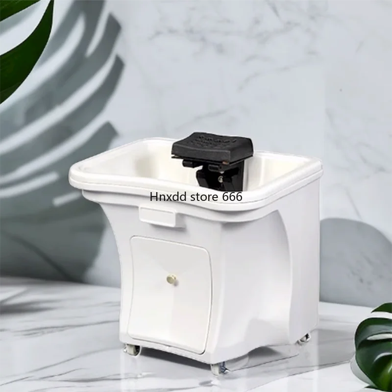 Hair Spa Washbasin Shampoo Basin Beauty Salon Stand Chair Wash Barber Chairs for Living Room Aesthetic Bowl Hairdressing Bed