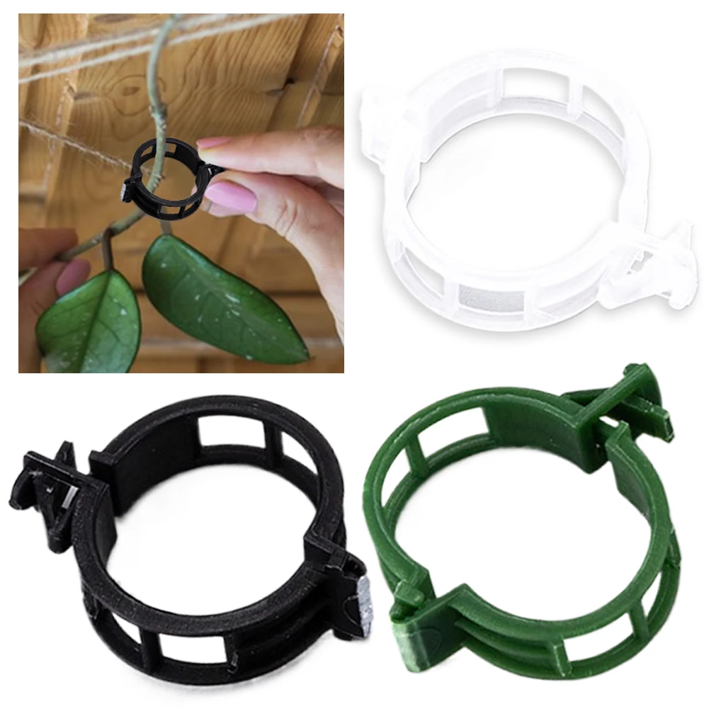 

100PCS Plant Clips Supports Reusable Plastic Connects Fixing Vine Tomato Stem Grafting Vegetable Plants Orchard and Garden Tools