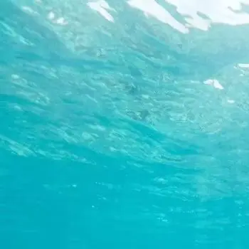cercatore-di-pesci-subacqueo-con-schermo-ips-e-lente-grandangolare-12-led-ir-per-pesca-in-mare-lago-fiume-ghiaccio-e-acquacoltura
