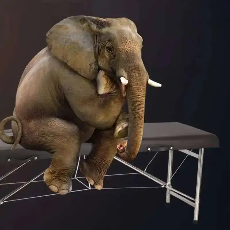 

Massage Bed Cosmetics Spa Beauty Table De Lit Portable Stretcher Pliante Folding Professional Beautician Camillas Masaje