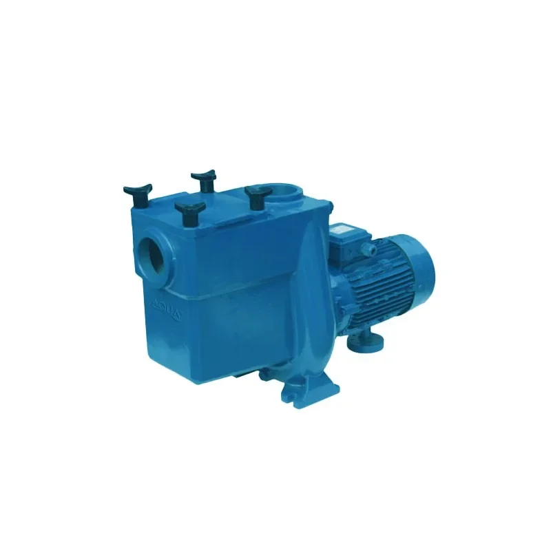

All-metal large pump, massage iron pump, swimming pool water pump