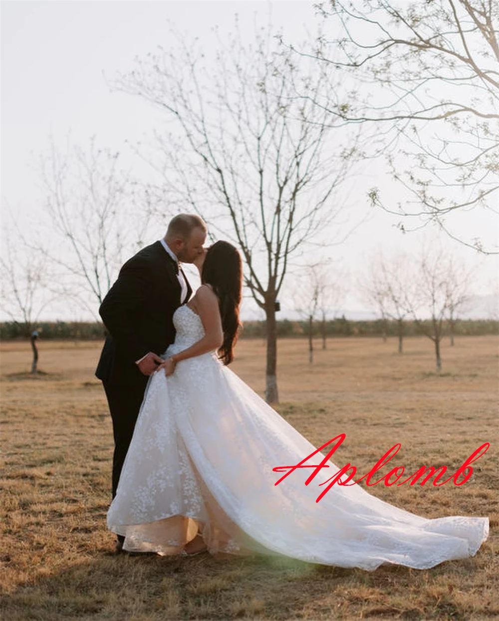 

Customized High Quality White Tulle Wedding Dress Temperament Strapless Appliques Bridal Gowns Chapel Train Backless Dress