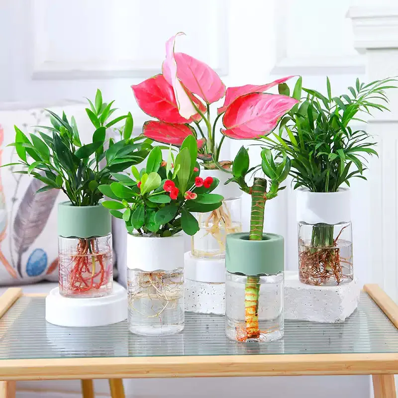 

Mini Hydroponic Flower Pot Home Vase Decor Transparent Imitation Glass Soilless Plant Pots Green Plants Pot For Home Decoration