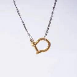 Stainless Steel Horseshoe Necklace For Women Gold/Silver Color Color Metal Spiral Clasps Chain Necklaces Choker