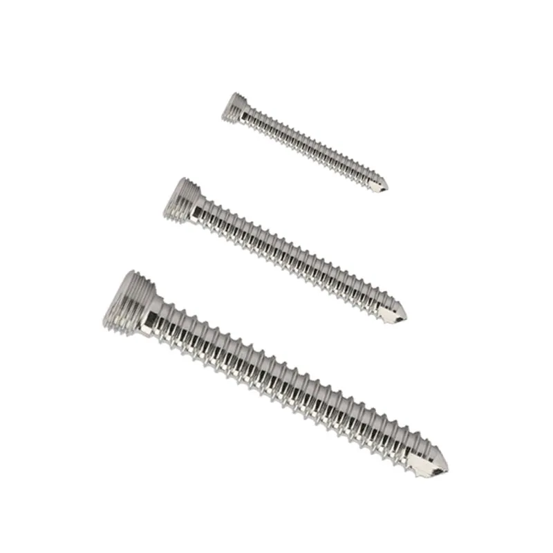 

10pcs Stainless Steel Self-tapping Lock Screws For Small Animals And Pets