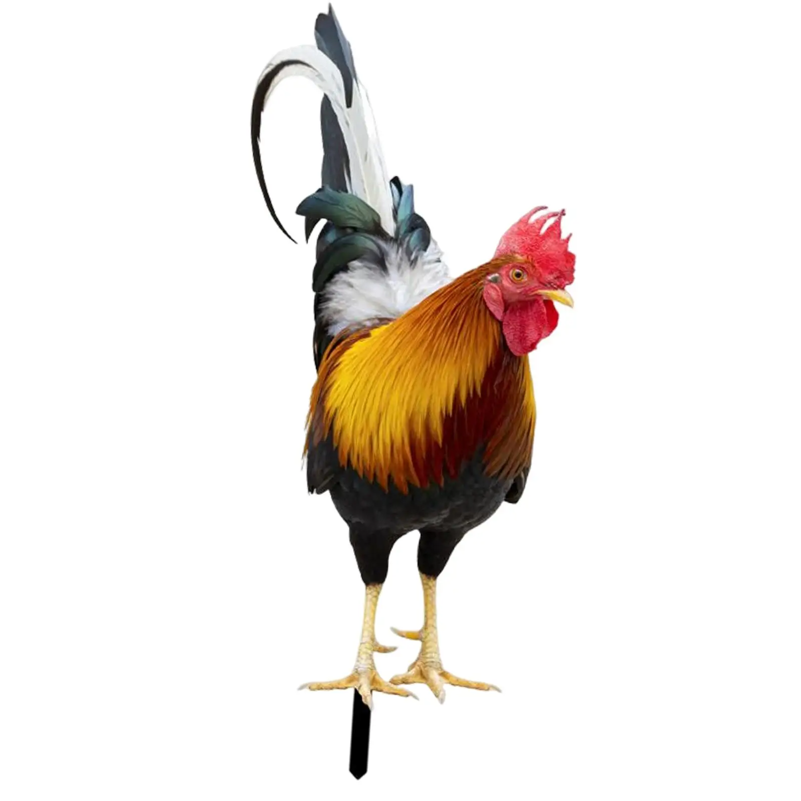 Outdoor Rooster Chicken Garden Ornament Acrylic Statue Lawn Stake for Backyard Art and Patio Decorations