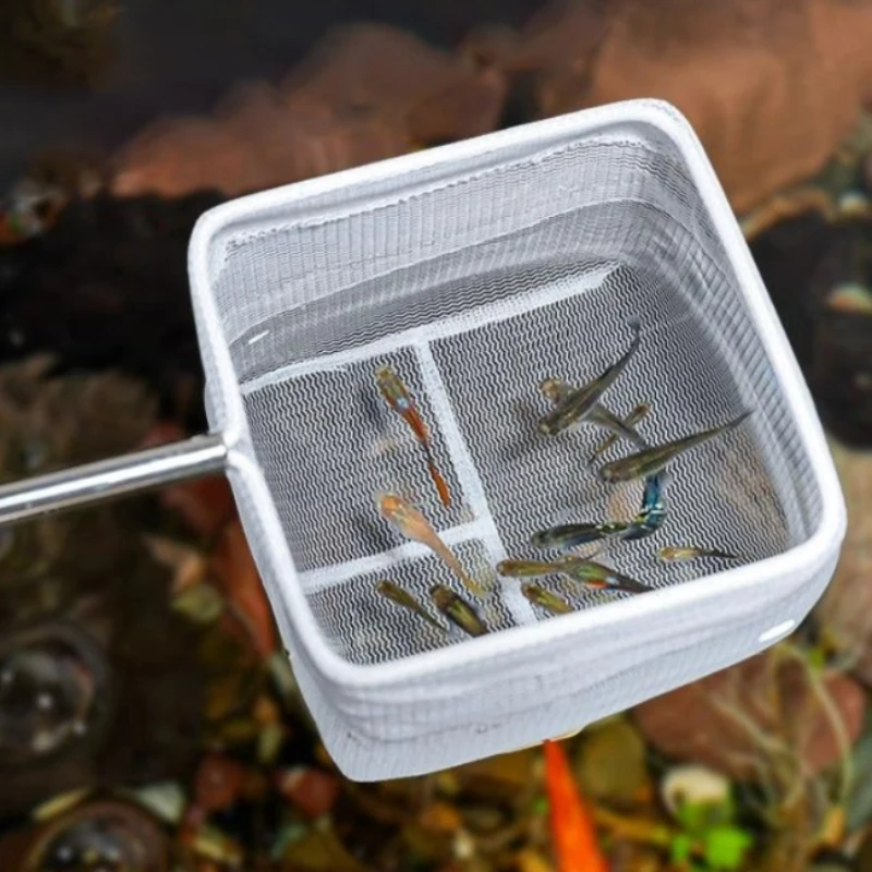 Aquarium Cleaning Tools – Small Fish and Shrimp Nets for Only .94