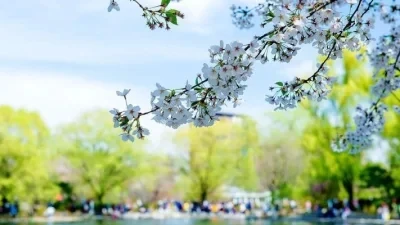 4 Uds 1/10 Rc Rock Crawler aleación de aluminio 1,9 "llantas Beadlock para Axial Scx10 Rr10 Wraith 90048 90018 Trx4 D90 piezas de coche de control remoto