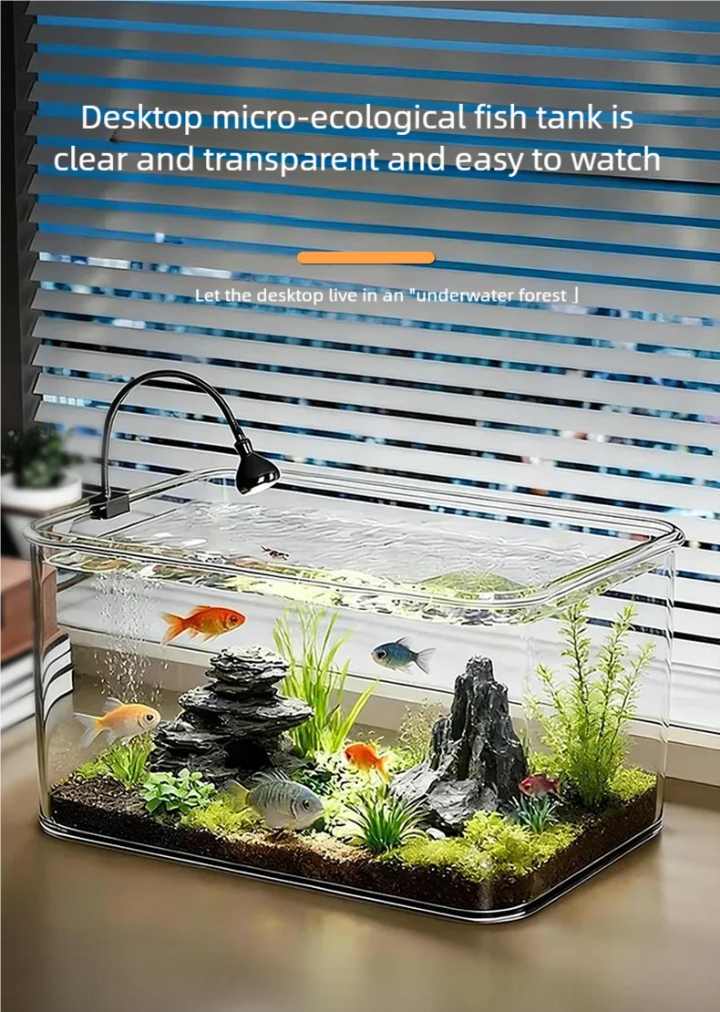 360 ° Panorama-Desktop-Aquarium Mini-Aquarium aus Klarglas Ökologische Landschafts-Dekoration für Zuhause Wasserlebensbox für Goldfische – Detail 1