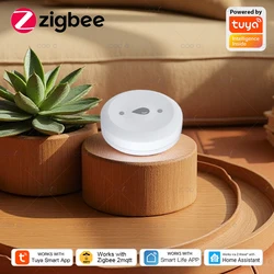 Zigbee Water Sensor Flood Water Leakage Detector App Remote Monitoring Home Security Alarm Support Home Assistant Zigbee2mqtt