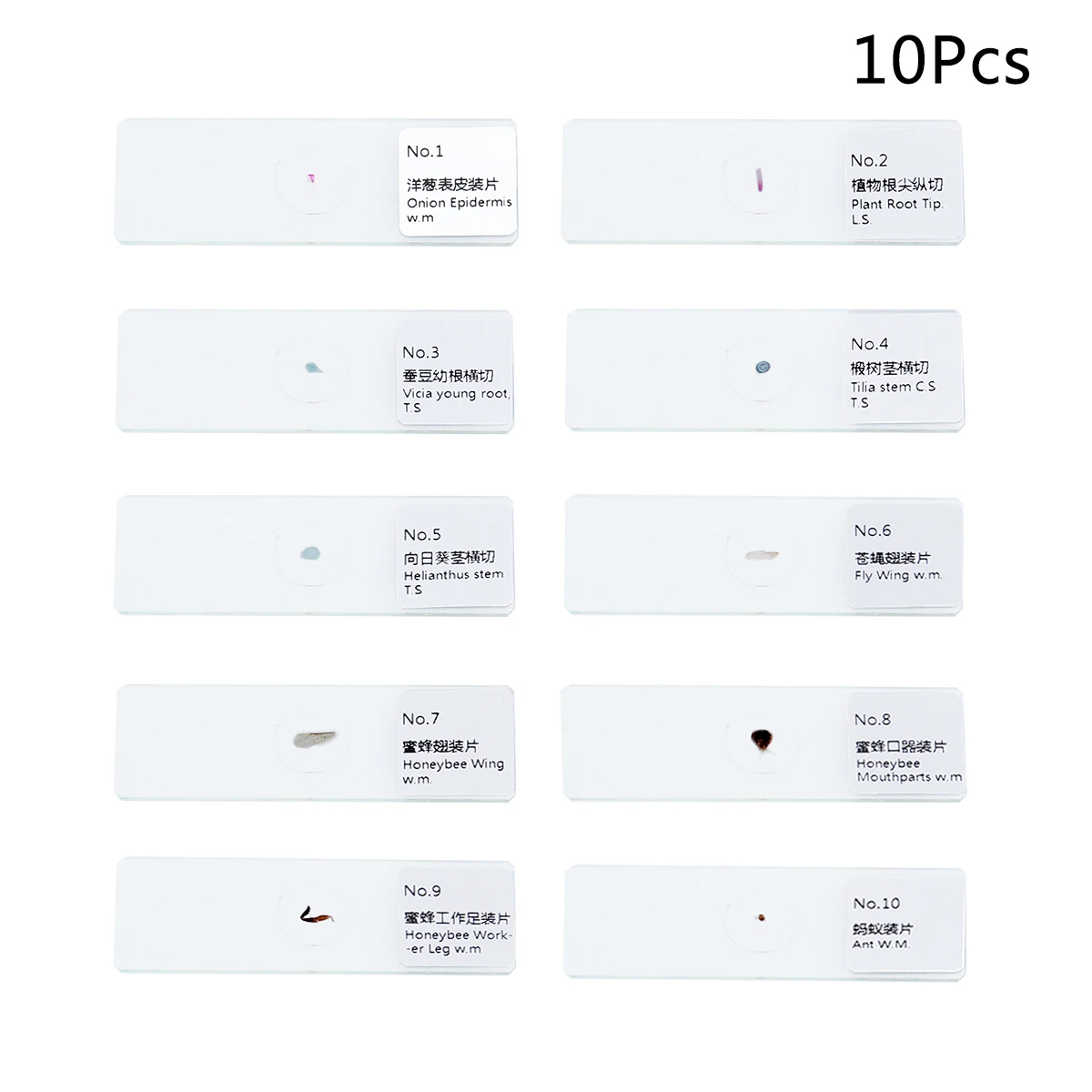

10 Pcs Biology Specimens Slides Set Glass Prepared Microscope Samples Of Insects Plants Animals