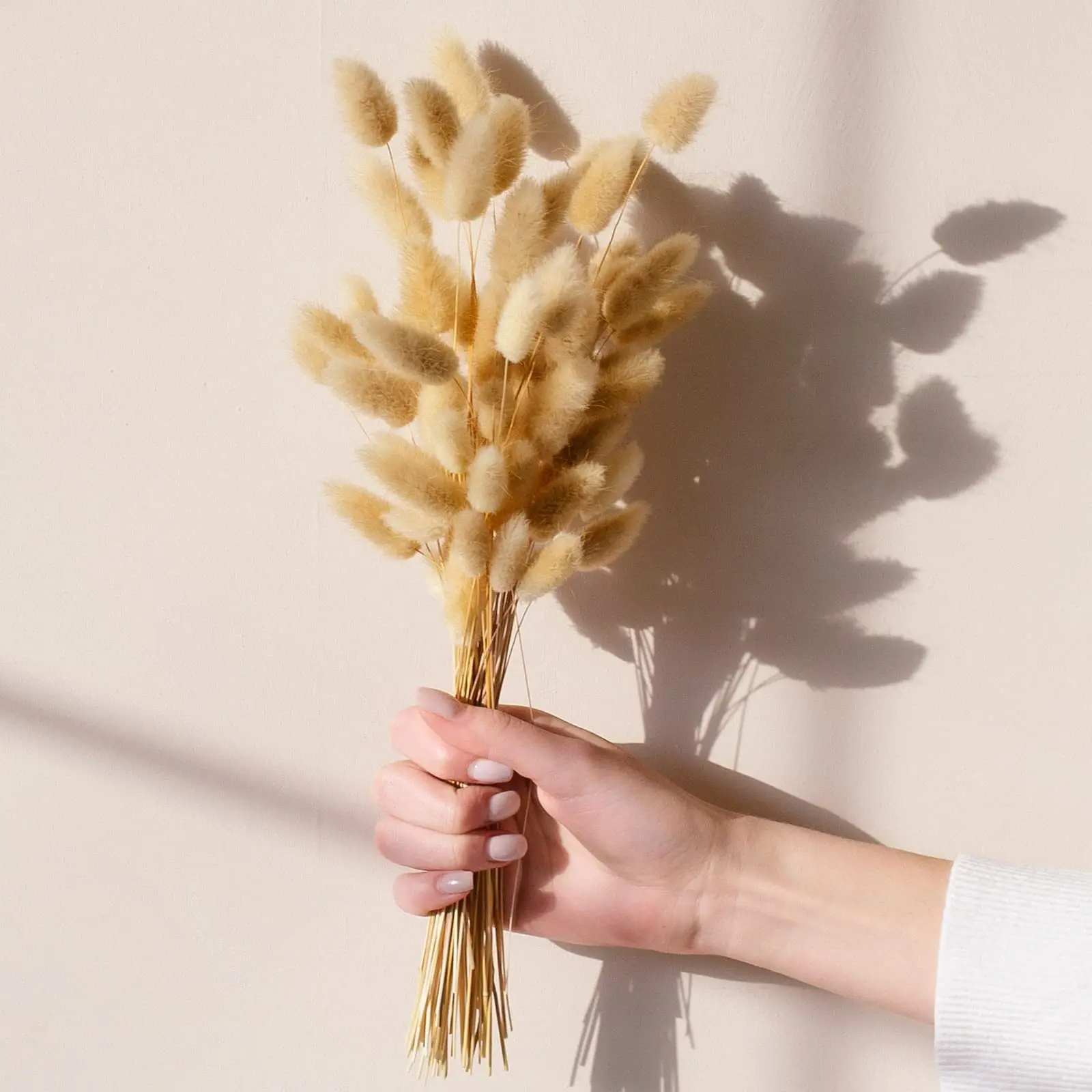 100pcs Bunny Tails Dried Flowers Boho Table Decor,Dry Pampas Grass Bouquet for Wedding,Home,Rustic Party,Baby Shower Decorations