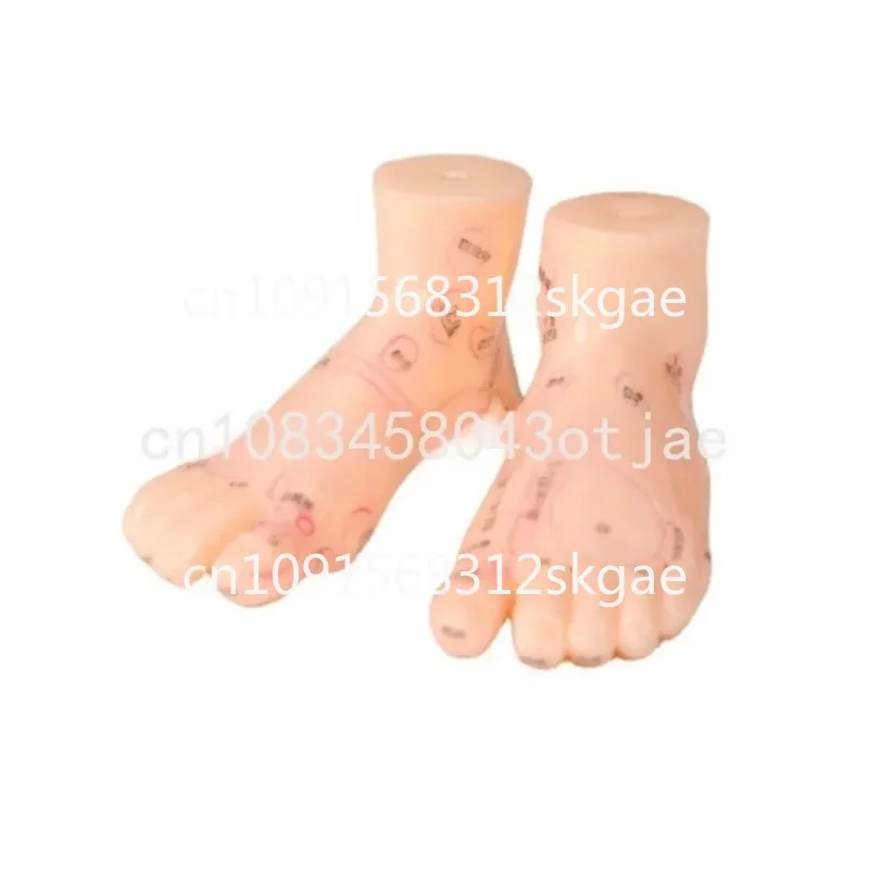 19cm Foot reflex zone massage model, not acupuncture model, English code TCM Feet Reflexology, 2pcs = 1 pair free shipping