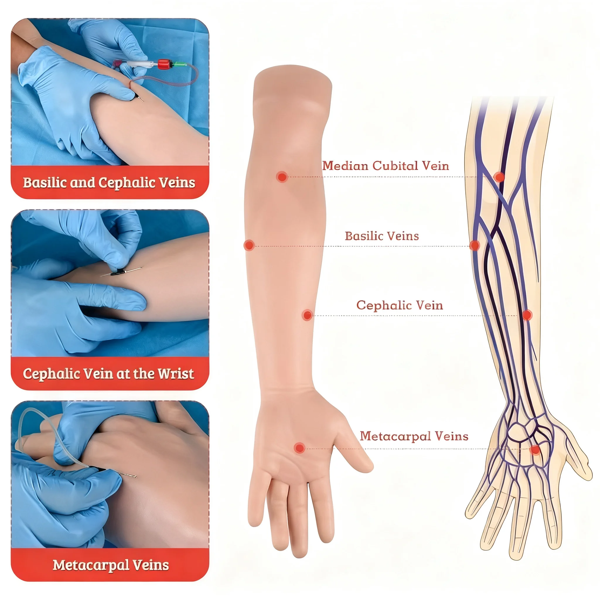 Venipuncture Practice Arm Kit, PVC Latex Injection Training Arm with Infusion Stand for Nursing Medical Students