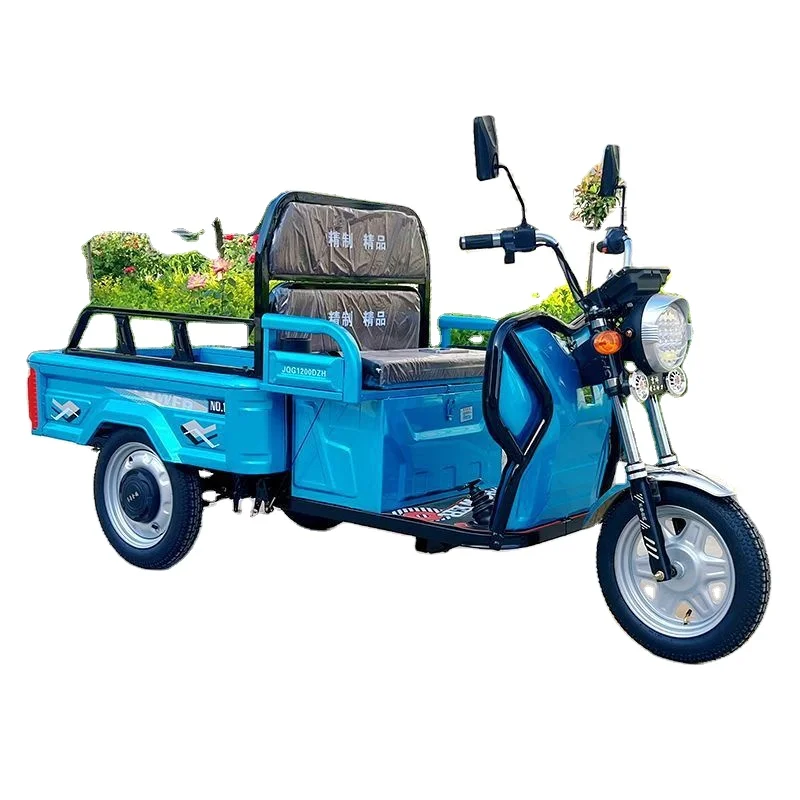 Three-wheeled Electric Car House Hold  Old People Pick up Children Mountain Pull Goods Small Scooter.
