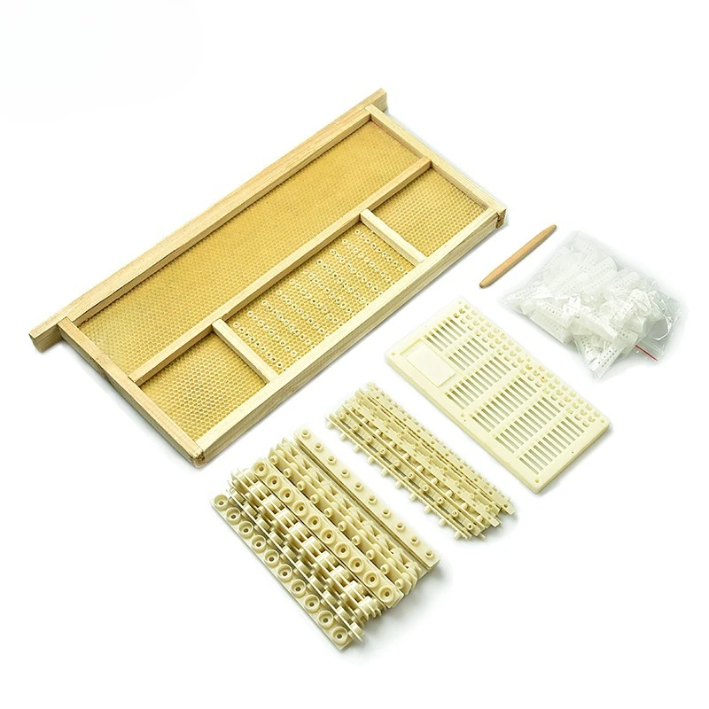 

Китайский набор для разведения короля насекомых без насекомых, инструменты для пчеловодства