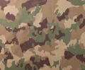single-TAZ16