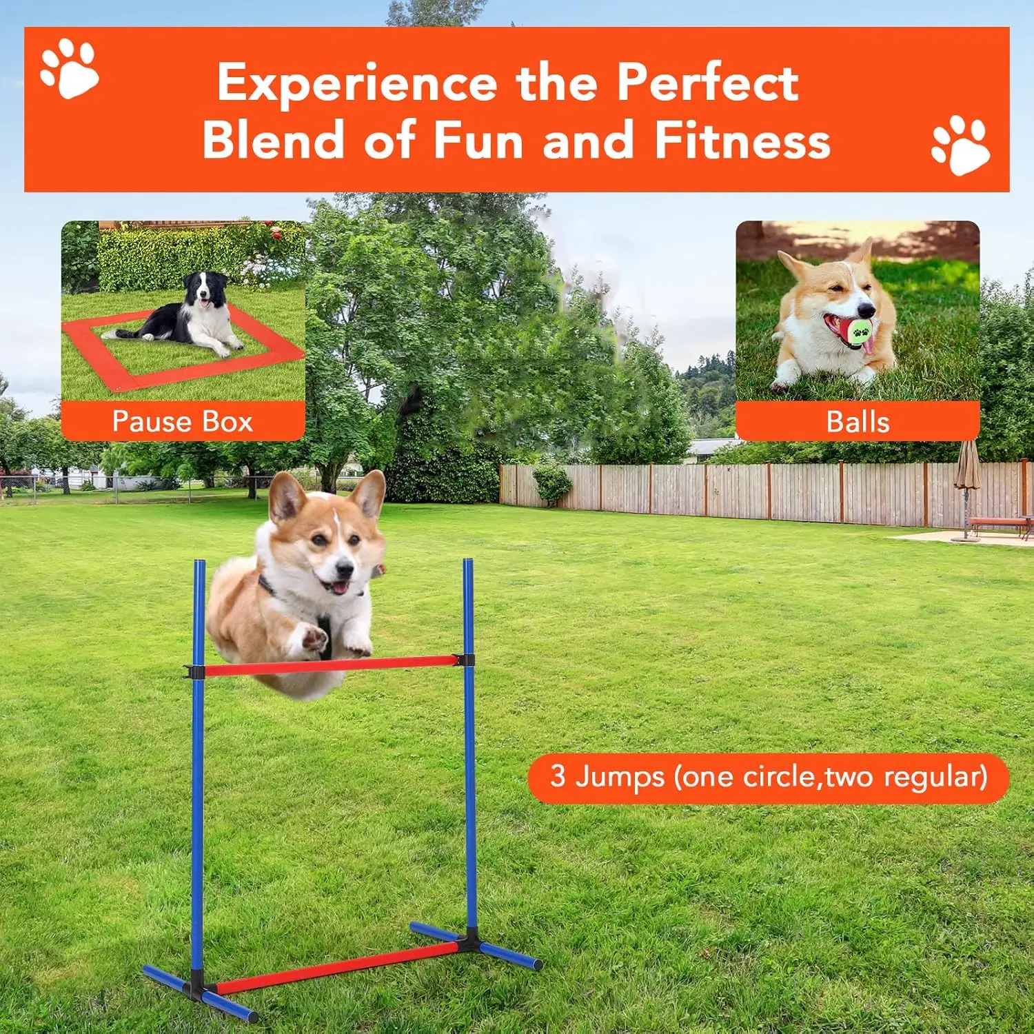Dog Agility Kit 5