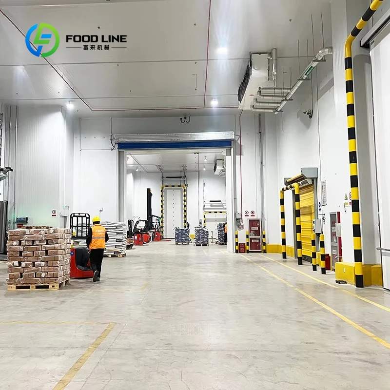 Smart Customized Automated Logistics Cold Storage with Intelligent System Refrigeration Chamber