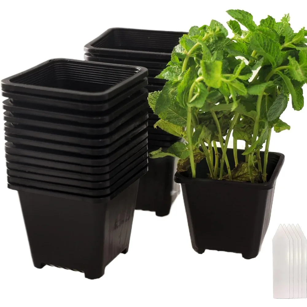 

25 Packs Square Nursery Pots for Plants 3.5 Inch Succulent Plant Pots Set Plastic Seedling Starting Pots with Drainage Holes Nur