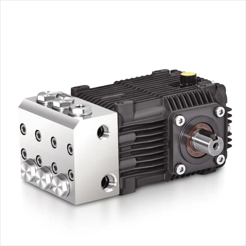 

LT-N BOTUO 30lpm 100bar 7.5 316L High Pressure Plunger Cleaning Pump For Desalination