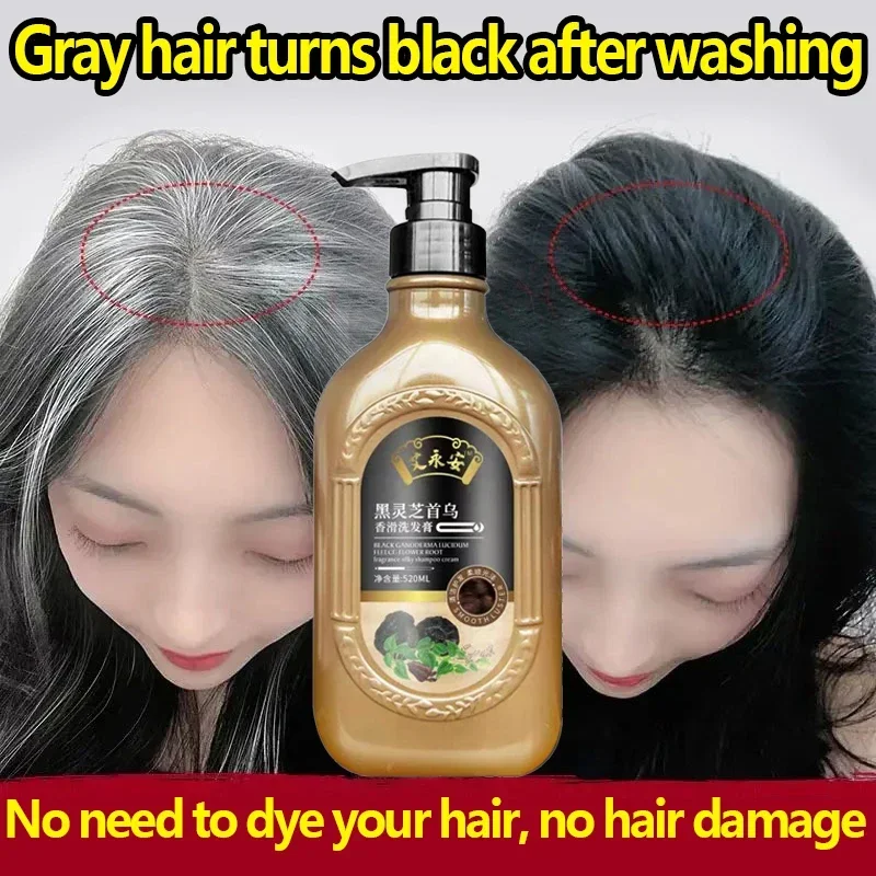 

Natural Herbal Ganoderma Lucidum Black Hair Shampoo Permanent Effective White Turn Black Strengthen Hair Roots 520ml