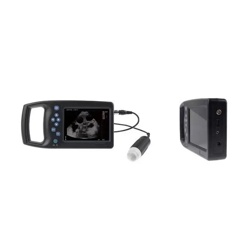 M6 mechanical scanning veterinary ultrasound for pigs, sheep and dogs