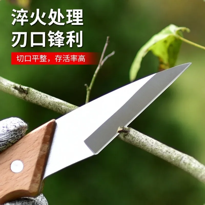 Folding Graft Knife Bud Graft Fruit Tree  Knife Wooden Handle Integrated Stainless Steel Graft Knife