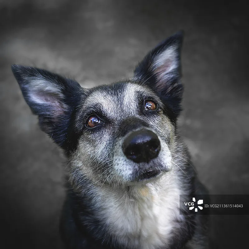 

EMAX ECOII V2 ECO II 2306 1700KV /1900KV/ 2400KV 3-6S Brushless Motor for RC FPV Racing Freestyle Long Range 5inch 4S 6S Drones