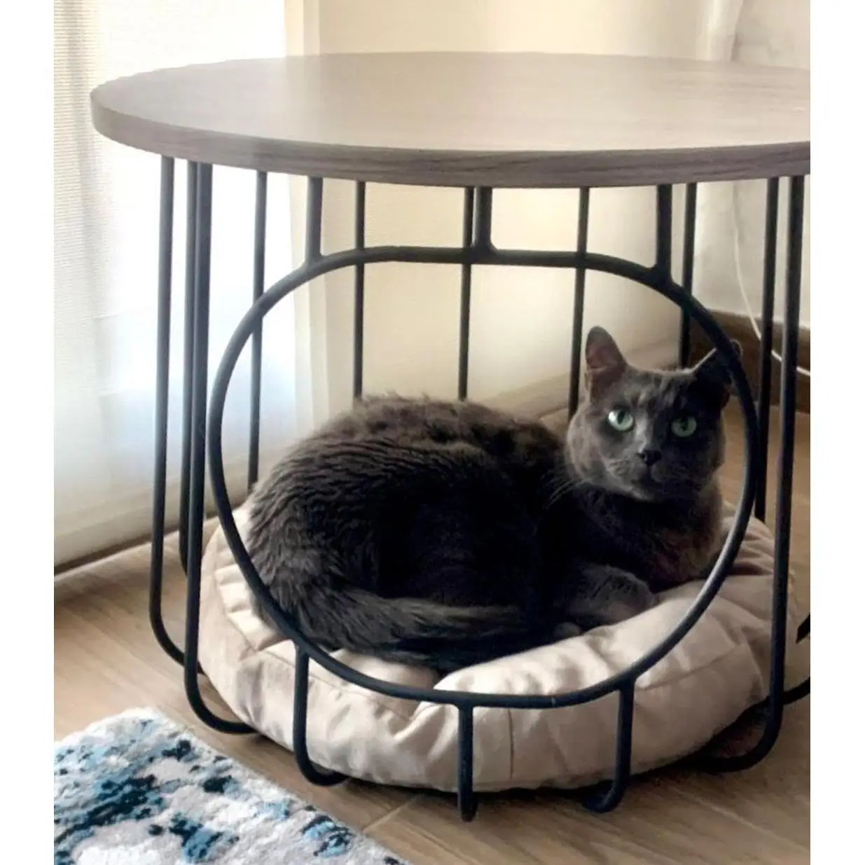 Solid wood cat nest coffee table creative pet furniture, people and pets share, multi-functional wrought iron coffee table Int
