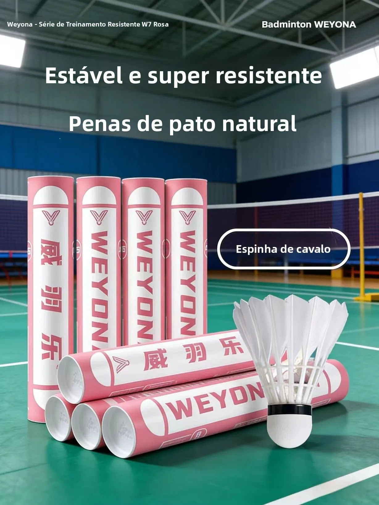 professional-grade-badminton-shuttlecocks-12pcs-stable-flight-durable-for-training-and-students-badminton-court-practice