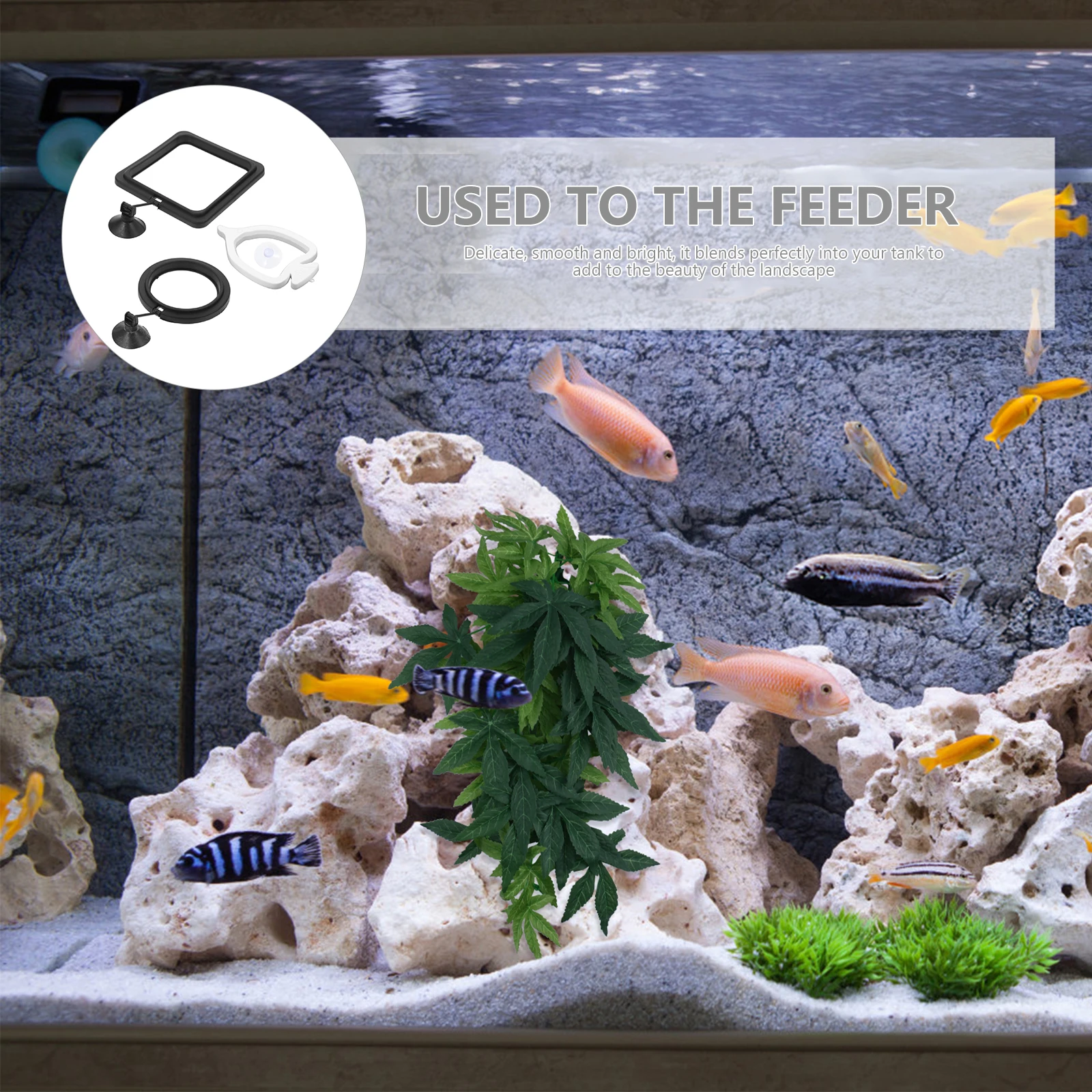 

3pcs Feeder Rings Floating Circles Tank Accessories Smooth Bright Easy Install Reusable Feeder Ring Aquarium Feeding Rings