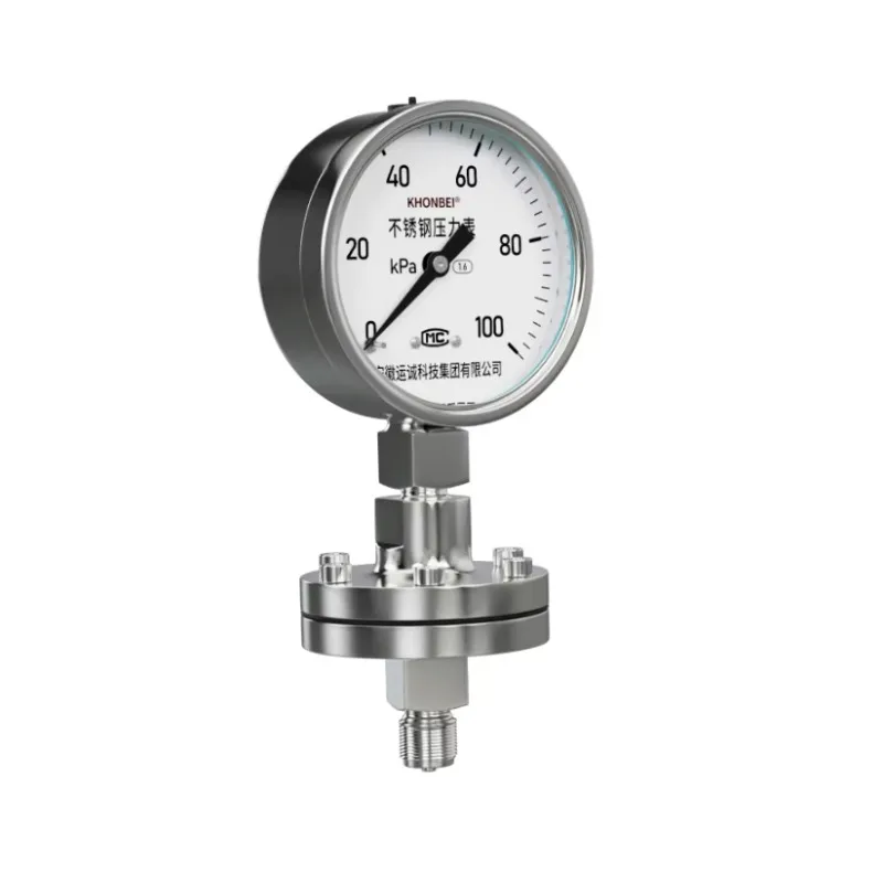 

Diaphragm Pressure Gauge for Water Treatment Silicone Oil Pressure Gauge 0-100mpa