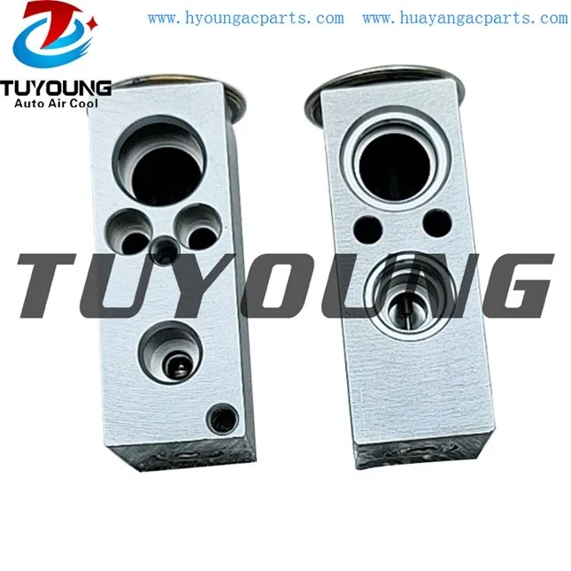 

TUYOUNG brand new Auto AC Expansion Valve for Citroen C3 C4 valve block 6461N0 1617191580 8UW351011431
