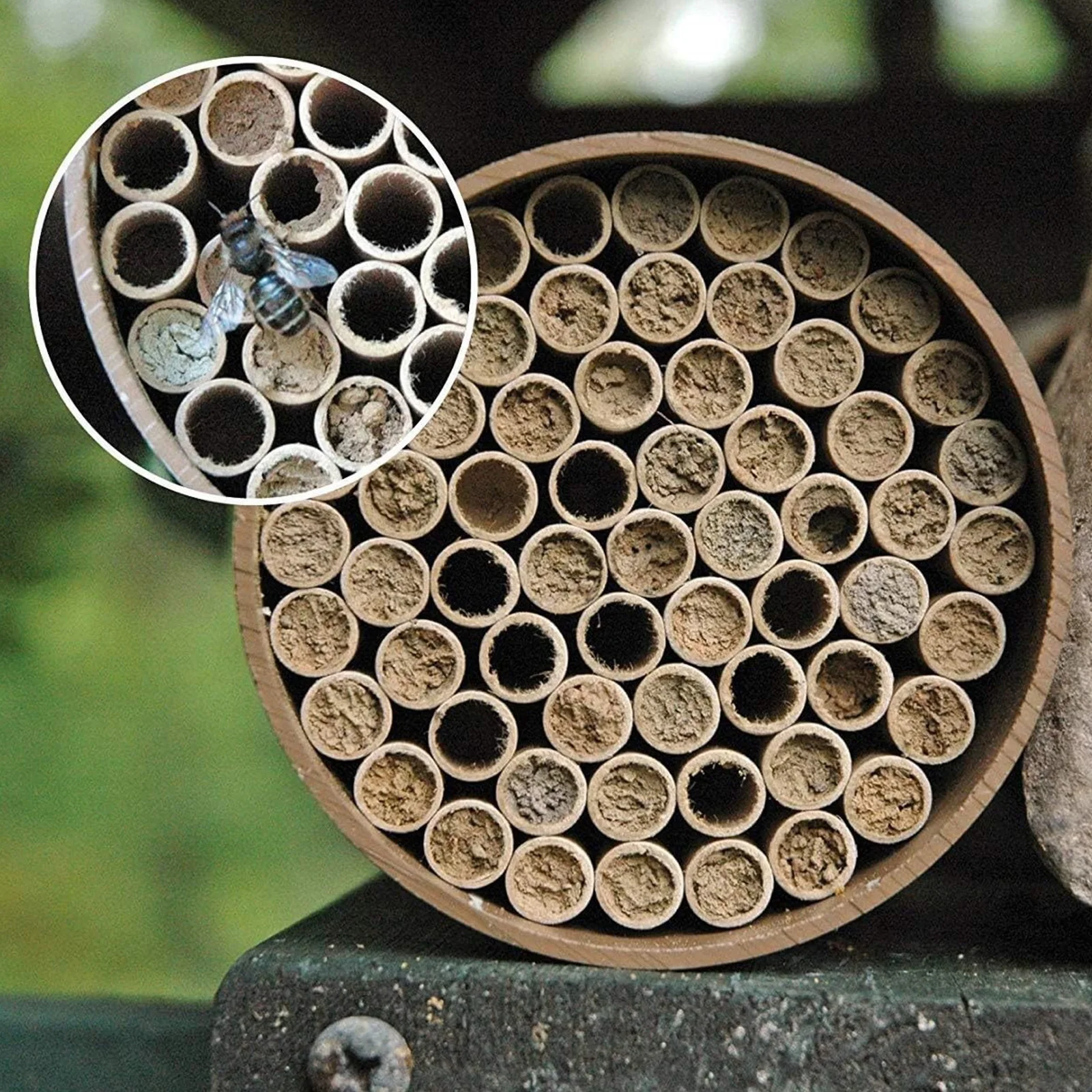 Mason Bee Nesting Tubes Set 8mm Diameter Hole Cardboard Bee House Refill Liners Cutable Easy to Bee Condo Hotel