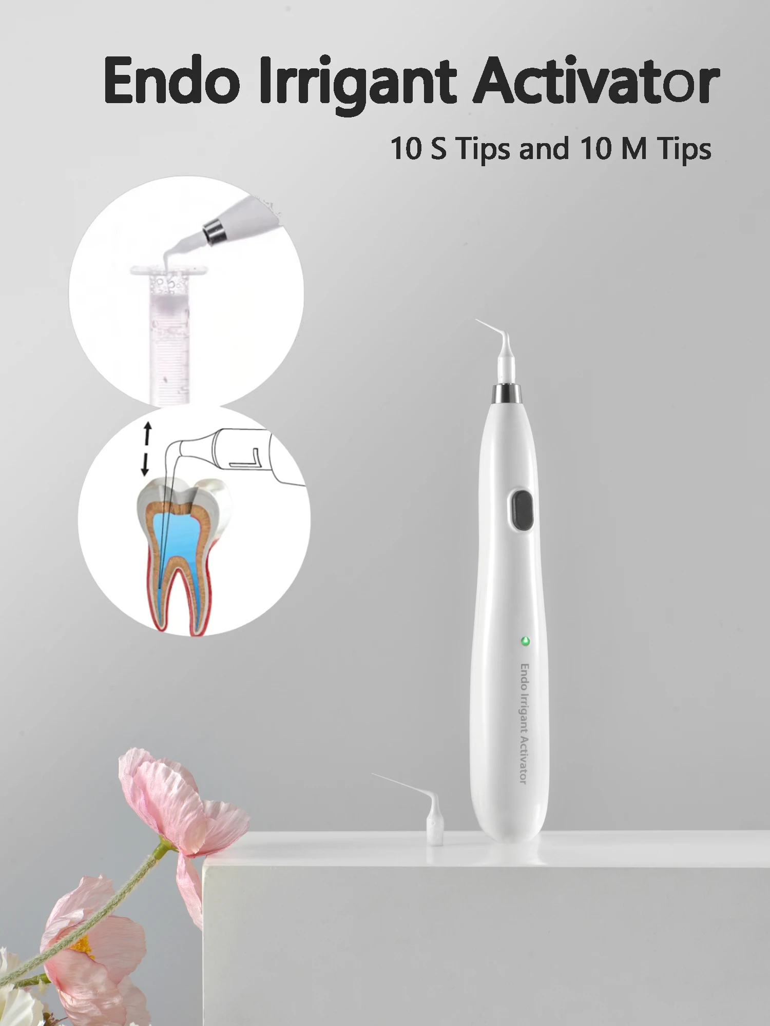 

Dental Endo Irrigant Activator Ultrasonic Cleaning Root Canals Dental Tool Root Canal Irrigator