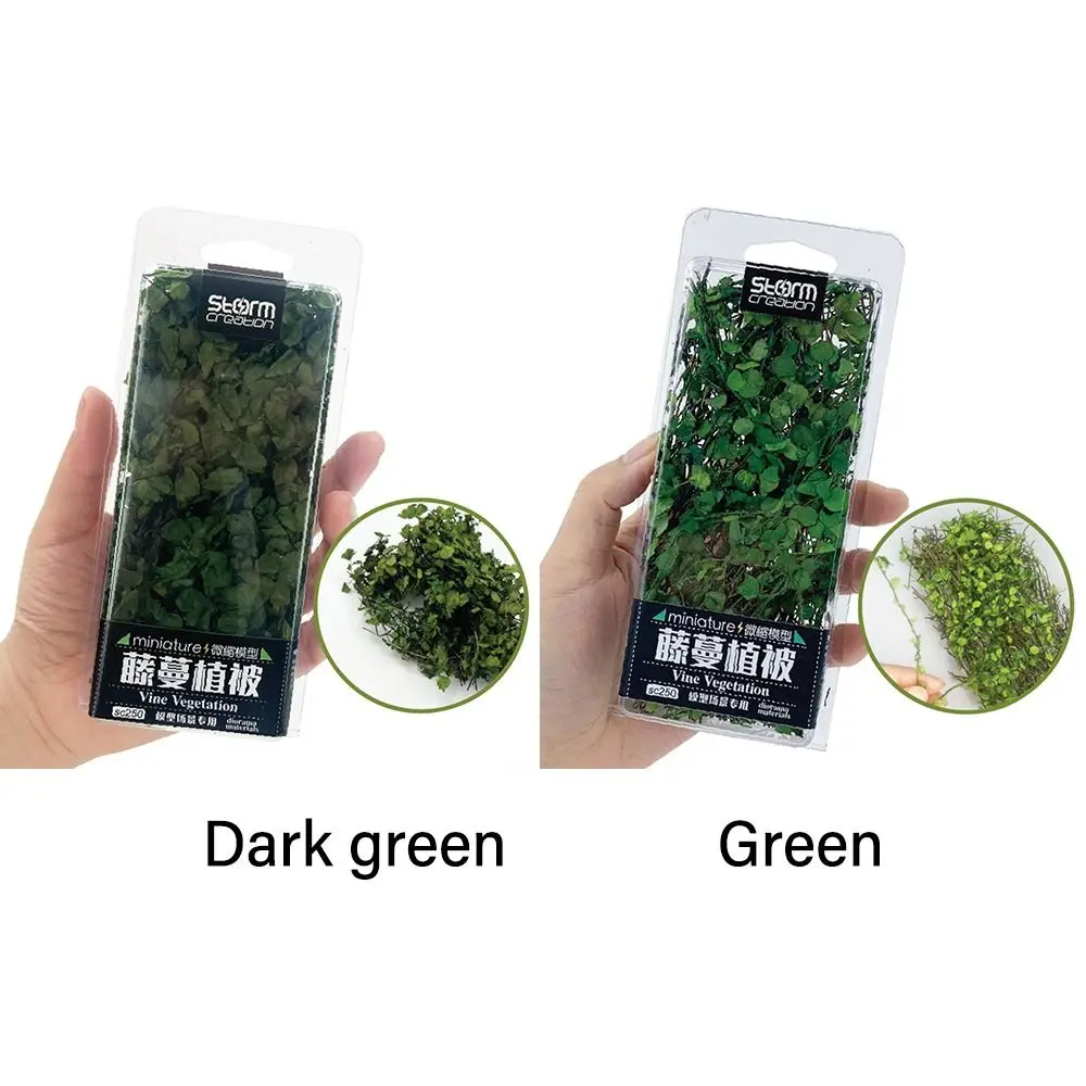 1 صندوق المشهد نموذج المشهد الصغير لتقوم بها بنفسك مصغرة النبات الزواحف محاكاة الروطان يترك الرمال الجدول الغطاء النباتي حديقة الجنية #5