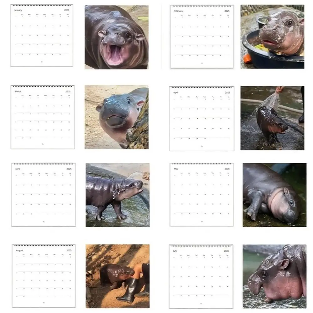 Moo Deng Calendar For 2025 | Creative Cartoon Hippopotamus Ornament Cute Multi-expression Pygmy Hippo Desktop Calendar Decora