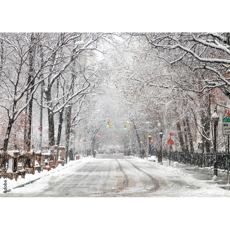 Vintage Châu Âu Phố Xem Phong Cảnh Chụp Ảnh Phông Nền Đạo Cụ CướI Chân Dung Ảnh Nền Studio 211229 JJD-03