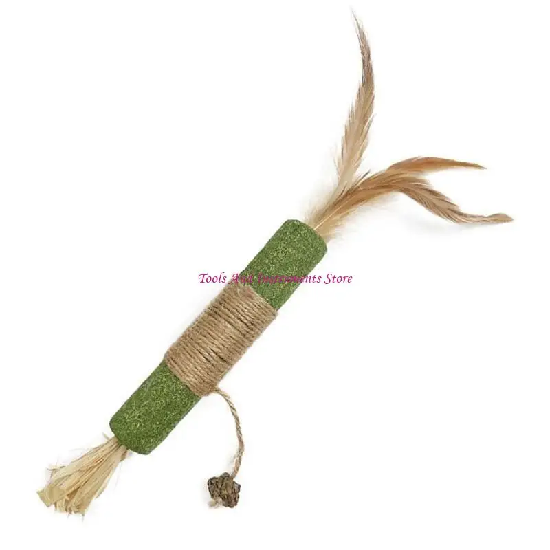 Mèo Catmint mọc răng Mèo Mèo Đồ chơi Răng sạch liếm liếm đồ chơi Mèo Mèo Mèo Catmint Đồ chơi C7AC