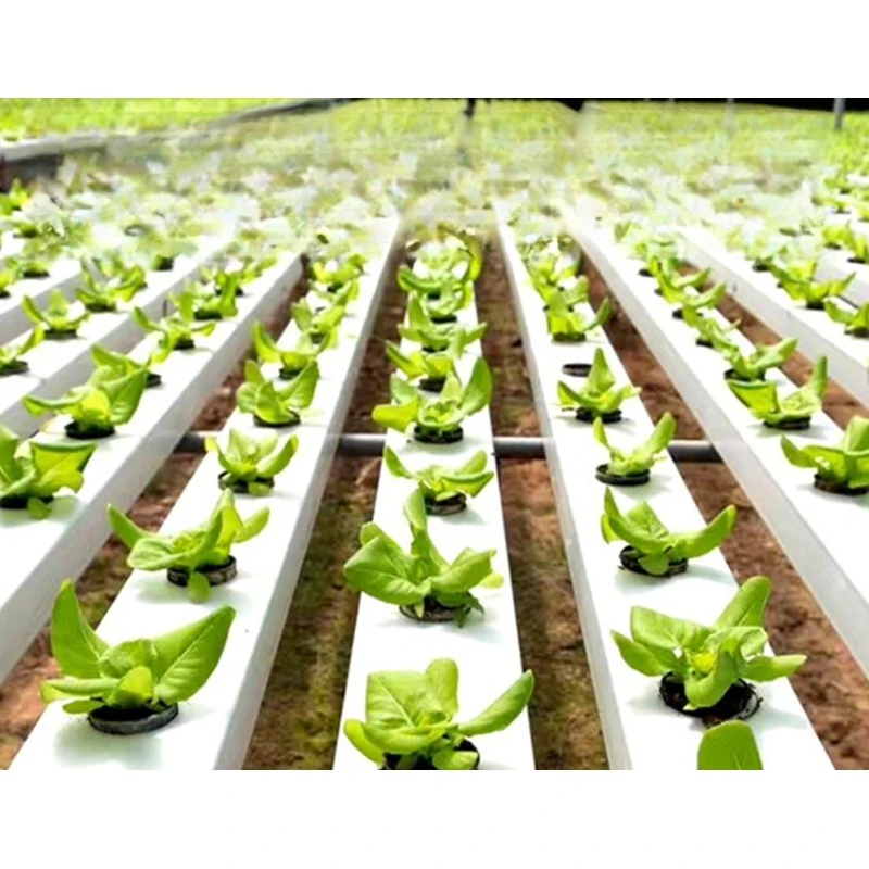 New to Agriculture Nft Channel Vertical Hydroponics Irrigation and Hydroponics Equipment Nft Hydroponics Systems