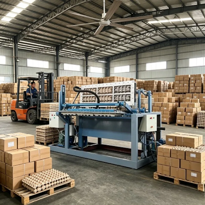 Small Scale 1500pcs Egg Cartons Machine Making Egg Tray Production Machine